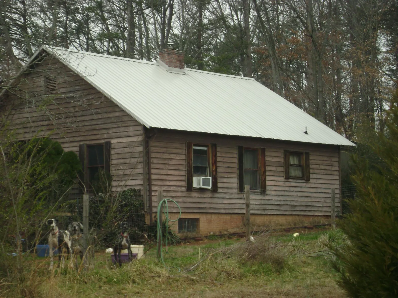 White metal roof on an old wood sided farmhouse, from a Metal Roof Installation job in Clearlake